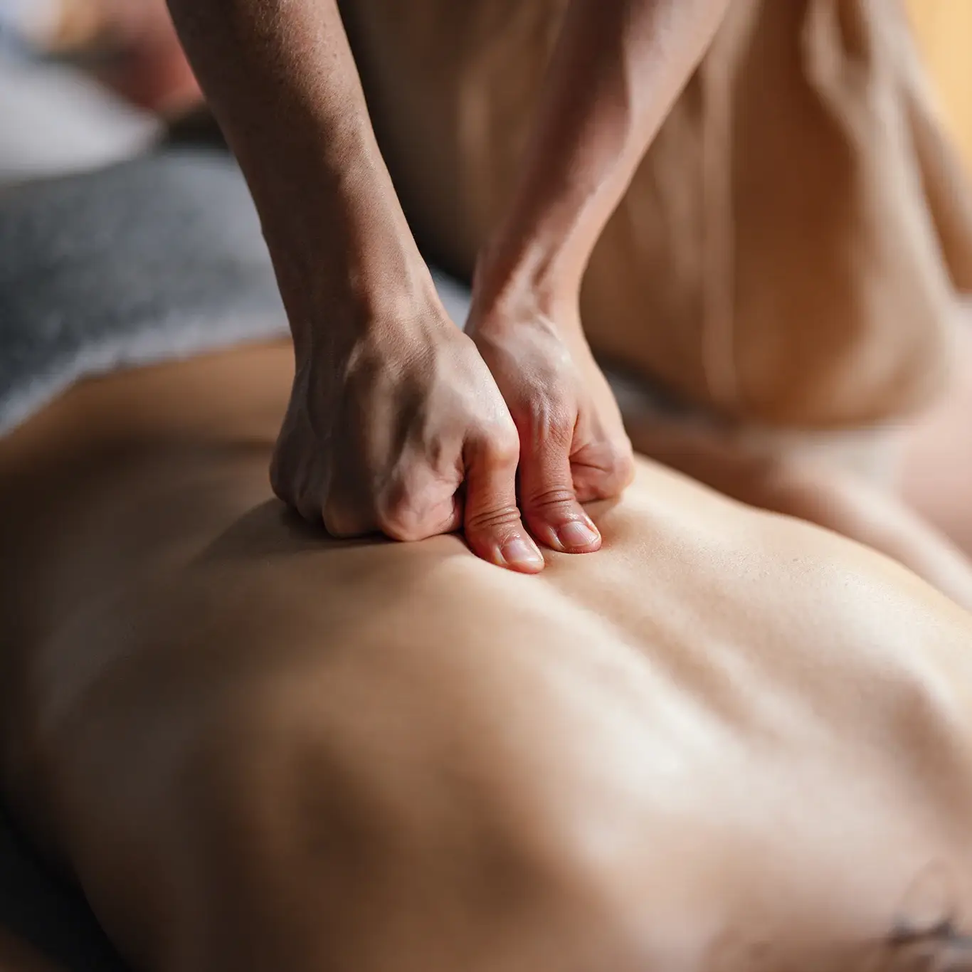 Western School Massage Therapy Training Courses Glasgow